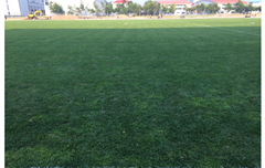 秦皇島國家足球訓(xùn)練基地