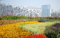 國(guó)家體育中心外綠地